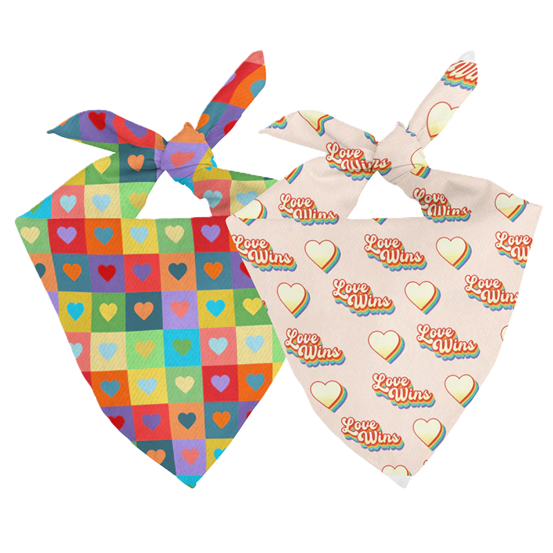 Dog Bandana Co. Love Wins Dog Bandana Tie & Snap