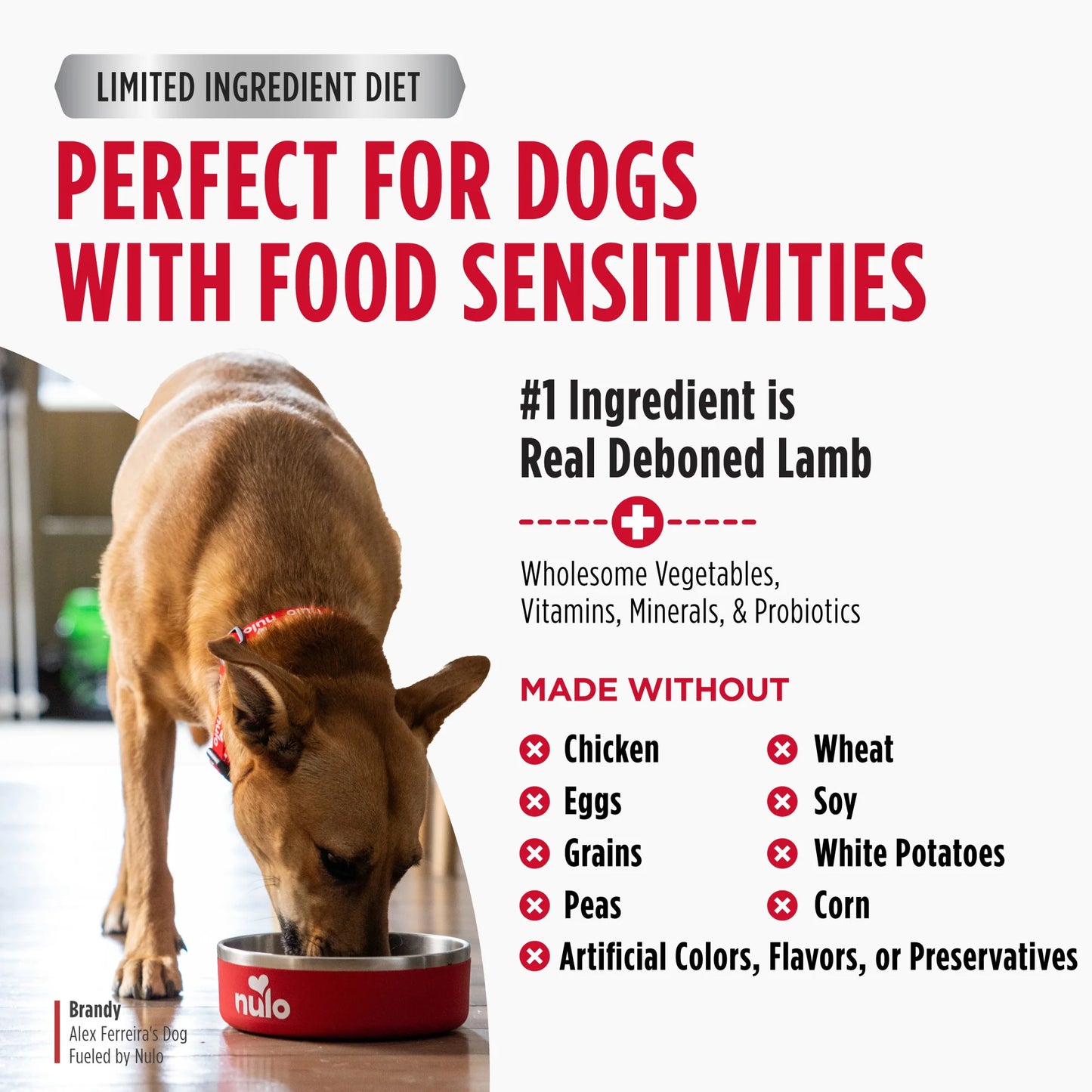 Nulo FreeStyle Limited+ Lamb Recipe, Dry Dog Food