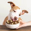 Badlands Ranch Superfood Nuggets Duck & Kale Formula, Freeze-Dried Raw Dog Food Topper, 8-oz Pouch