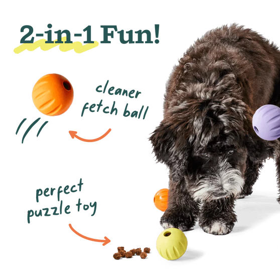 Woof Forager Flyball, Dog Toy