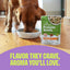 Wellness® Protein Bowls Chicken, Quinoa & Pumpkin Recipe Wet Dog Food, 6.2-oz Pouch, Case of 6