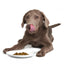 Smack Prairie Harvest Pork, Dehydrated Dog Food
