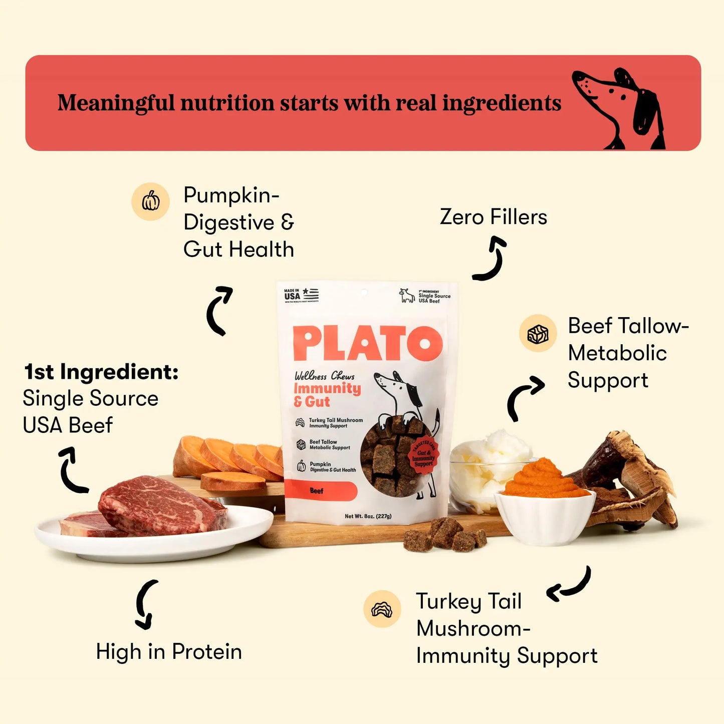 Plato Wellness Chews Immunity & Gut, Dog Treats