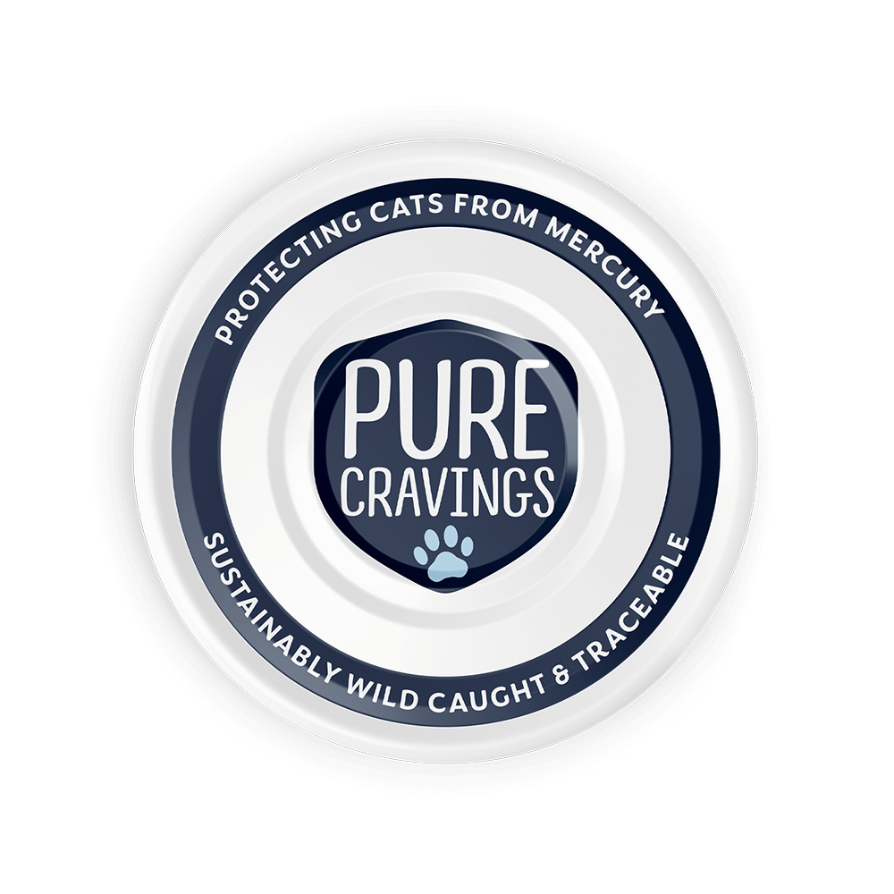 Pure Cravings Chicken Recipe Shredded in Broth, Wet Cat Food, 3-oz Case of 12