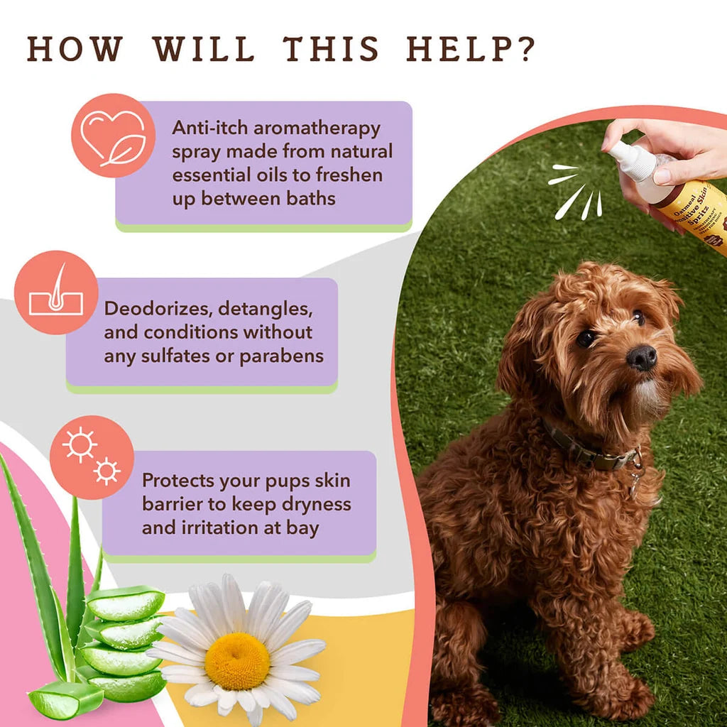 Natural Dog Company Sensitive Skin Spritz, Deodorizing Spray, 8-oz Bottle