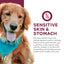 Fromm Nutritionals Sensitive Skin & Stomach Salmon & Whole Oats Recipe, Dry Dog Food