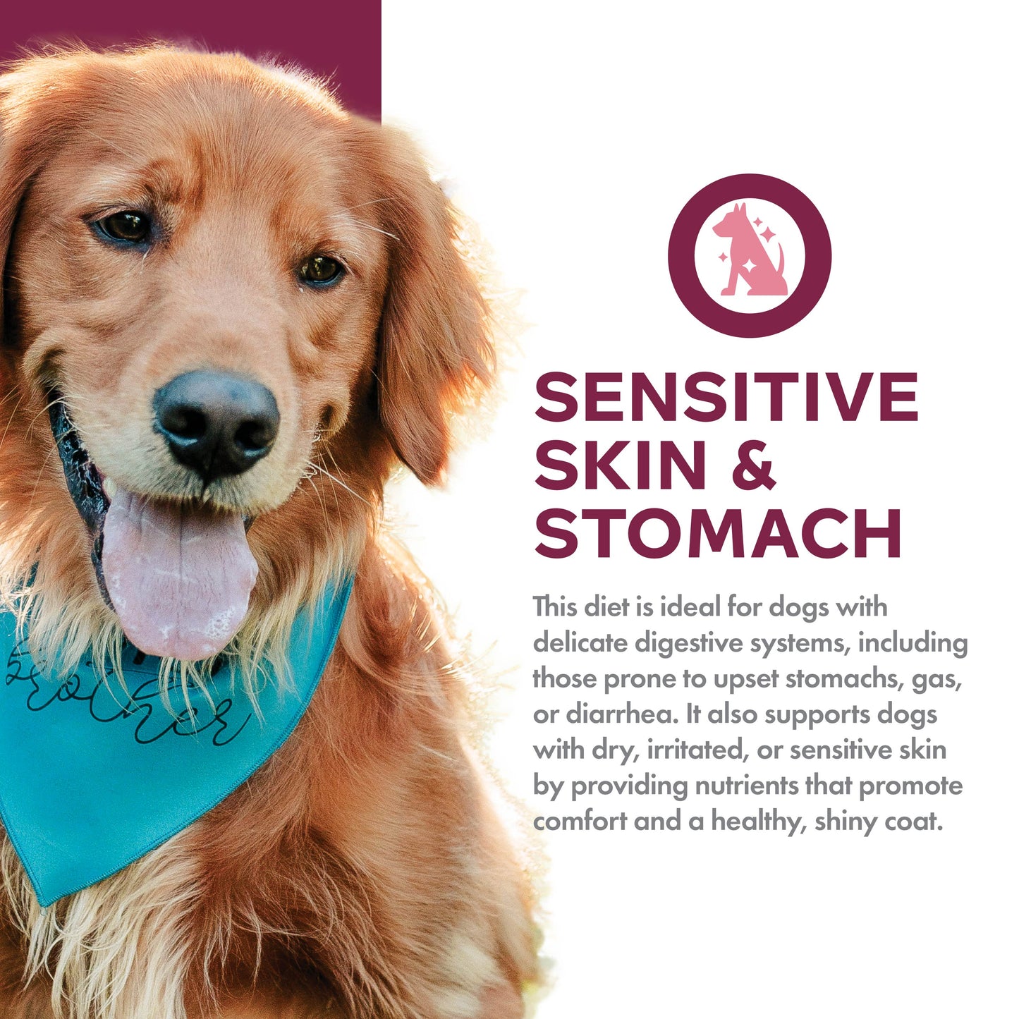 Fromm Nutritionals Sensitive Skin & Stomach Salmon & Whole Oats Recipe, Dry Dog Food