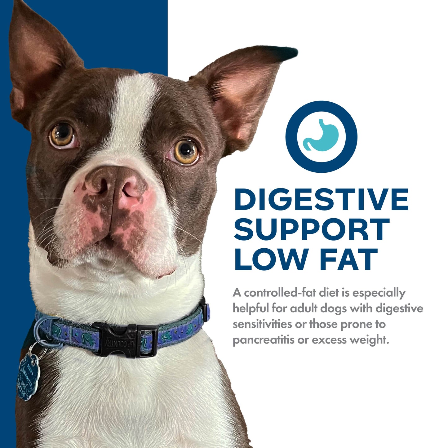 Fromm Nutritionals Digestive Support Low Fat Chicken & Oatmeal Recipe, Dry Dog Food
