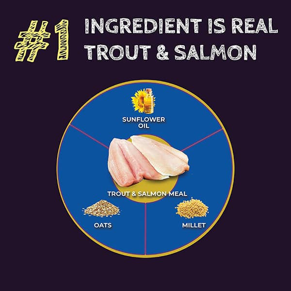 Zignature Select Cuts Trout and Salmon Formula Dry Dog Food