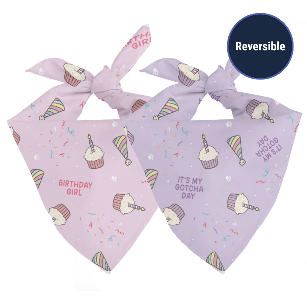 Dog Bandana Co. Birthday Girl & Gotcha Day Dog Bandana Tie & Snap
