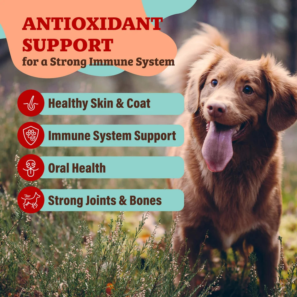Natural Dog Company Whole Food Antioxidant Berry, Dog Food Supplement, 8-oz Pouch
