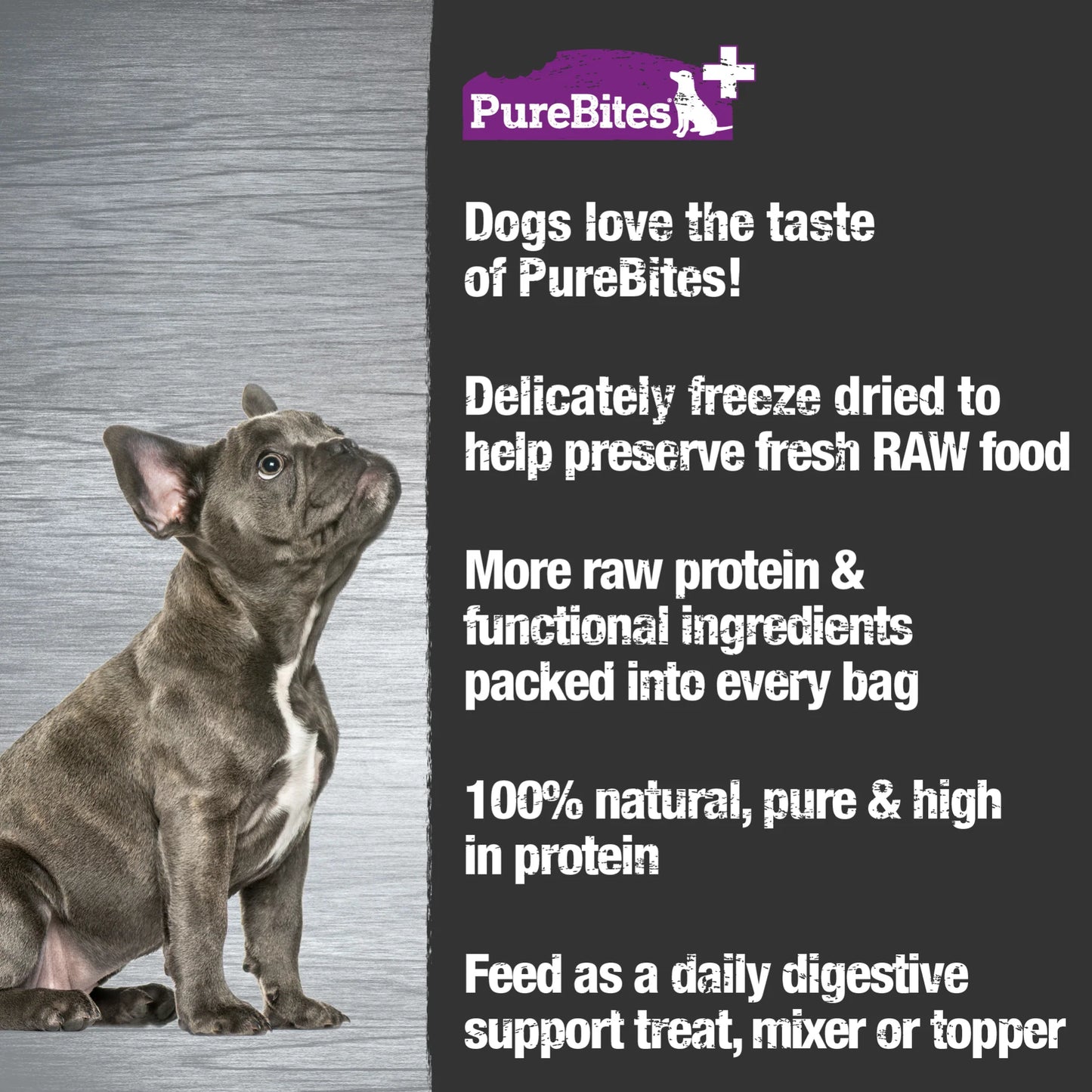 PureBites Digestion, Freeze Dried Dog Treats, 3-oz Bag