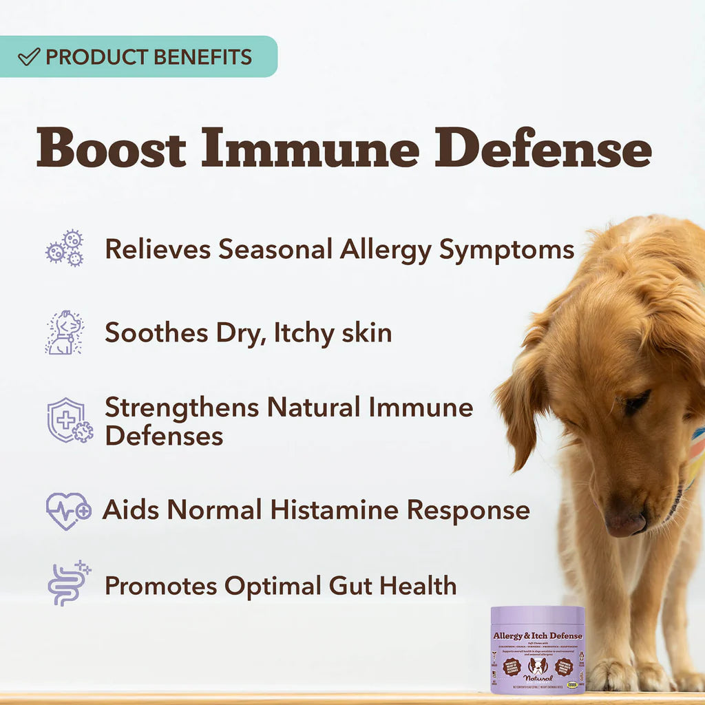 Natural Dog Company Dog Allergy & Itch Defense, 90-Count, Dog Supplement