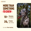 Natural Farm Odor Free Braided Bully Sticks