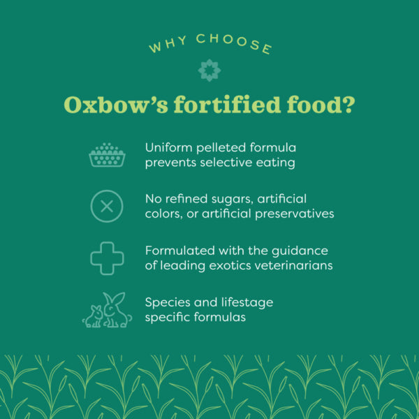 Oxbow Essentials Senior Rabbit Food, 4-lb Bag