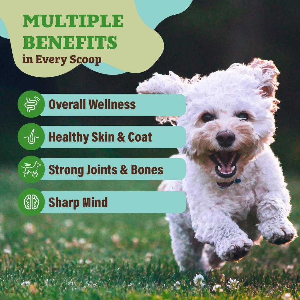 Natural Dog Company Whole Food Super Greens, Dog Food Supplement, 8-oz Pouch