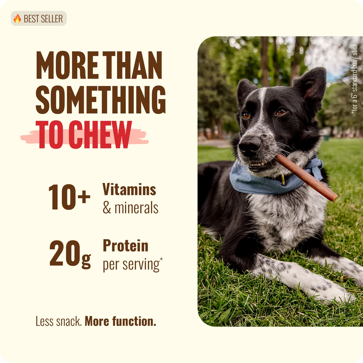 Natural Farm Beef Collagen Stick, Dog Chews