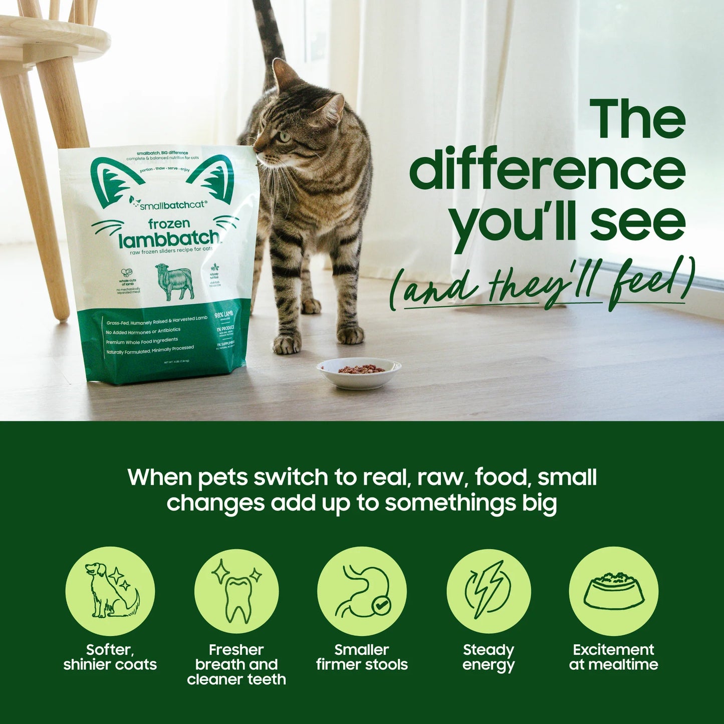 Smallbatch Frozen Raw Cat Food, Lambbatch Sliders, 3-lb Bag