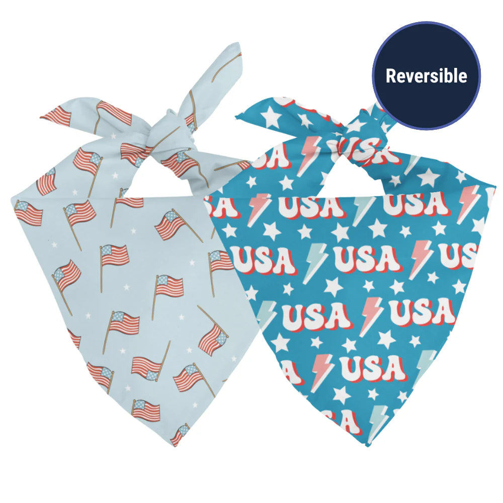 Dog Bandana Co. USA Dog Bandana, Tie & Snap