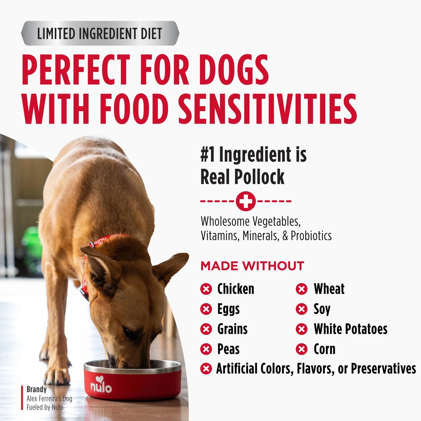 Nulo FreeStyle Limited+ Alaska Pollock & Lentils Recipe, Dry Dog Food