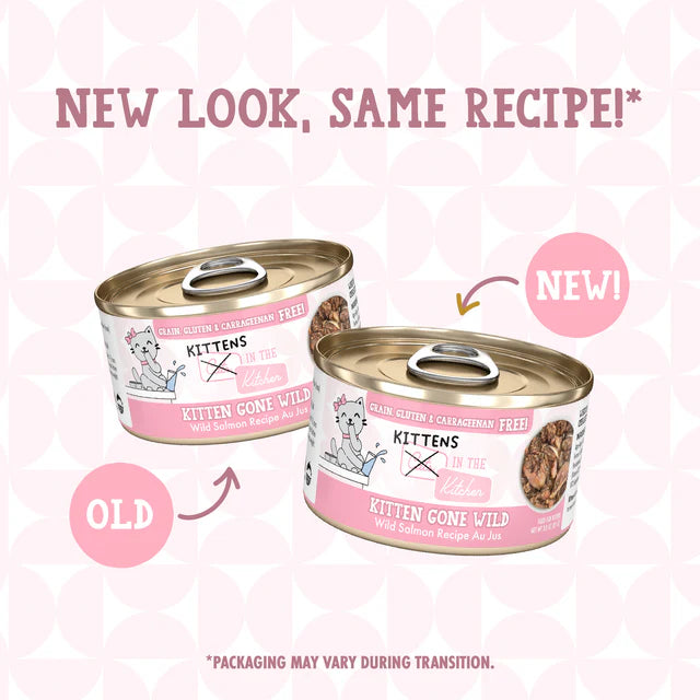 Cats In The Kitchen Kitty Gone Wild , Wet Cat Food