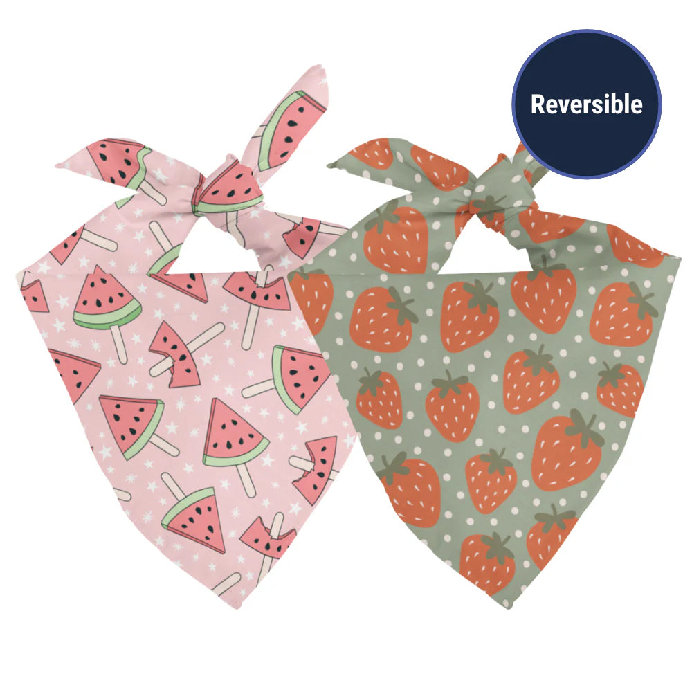 Dog Bandana Co. Watermelon & Strawberry Dog Bandana & Matching Scrunchie Set, Tie & Snap