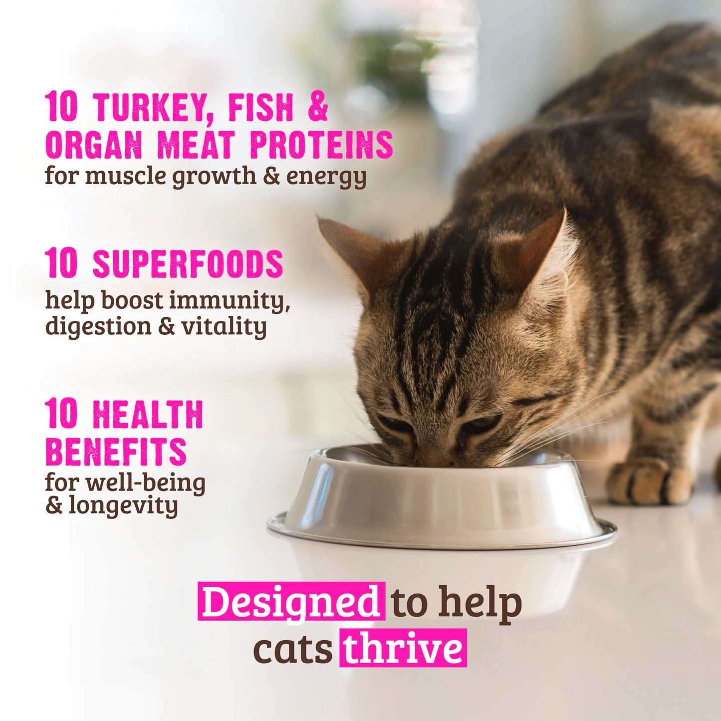 Rawz 10+ Essentials Turkey, Salmon & Dehydrated Whitefish Recipe, Dry Cat Food