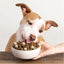 Badlands Ranch Superfood Nuggets Bison & Kale Formula, Freeze-Dried Raw Dog Food Topper, 8-oz Pouch