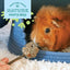 Oxbow Enriched Life - Natural Kabob, Small Animal Toy