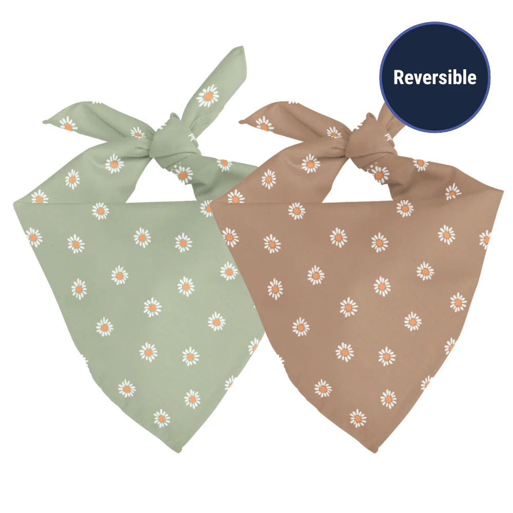Dog Bandana Co. Daisy Dog Bandana Tie & Snap