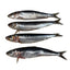 Ancestral Raw Nutrition Raw Wild Caught Sardines, Frozen Raw Dog Chew, 4-Count