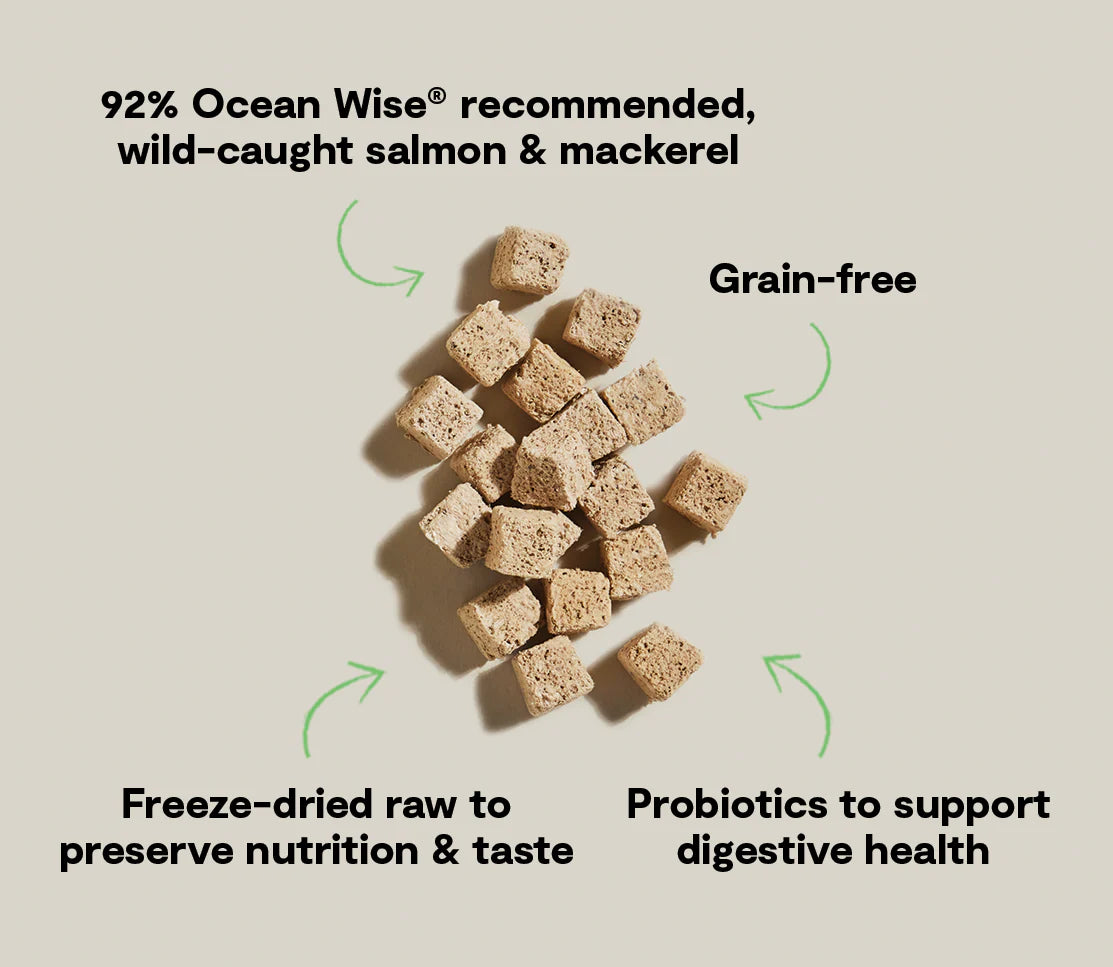 Open Farm Salmon & Mackerel Kitty Cube Treats, Freeze-Dried Raw Cat Treats, 1.5-oz Pouch
