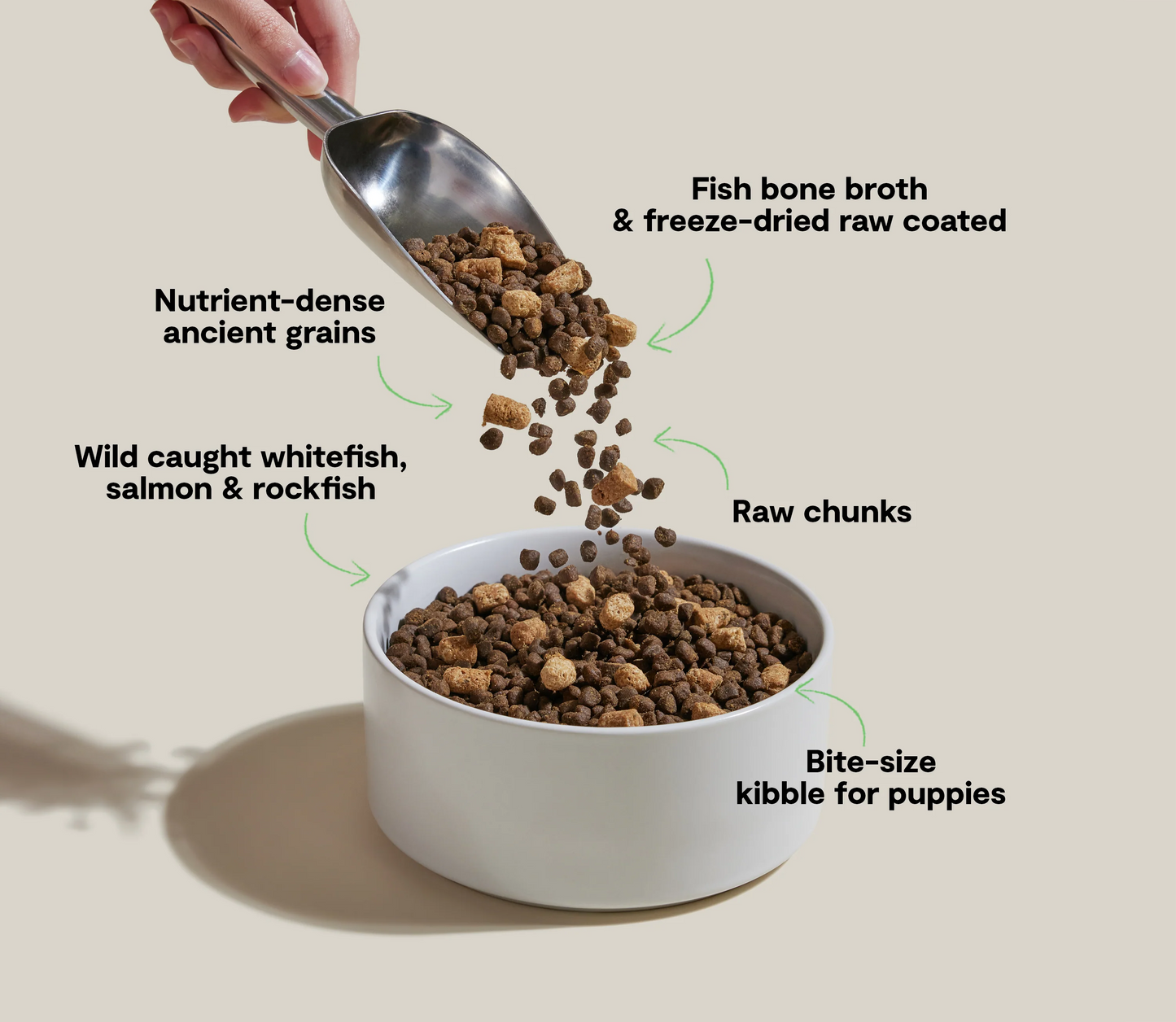 Open Farm RawMix Ancient Grains Puppy, Dry Dog Food