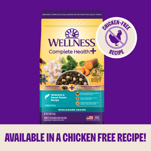 Wellness Complete Health+ Whitefish & Sweet Potato Recipe, Dry Dog Food