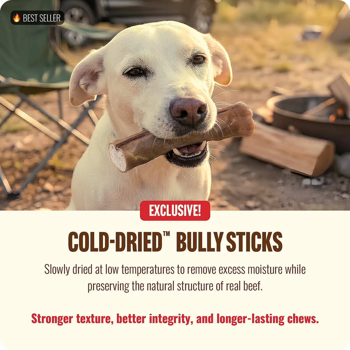 Natural Farm 12in Raw Cold Dried Bully Stick, Dog Chews