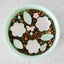 EmeryPets Flower + Leaf Slow Feeder Bowls (Green)