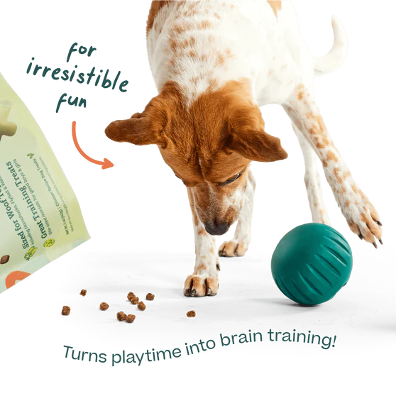 Woof Puzzle Treats, Dog Treats, 12-oz Pouch