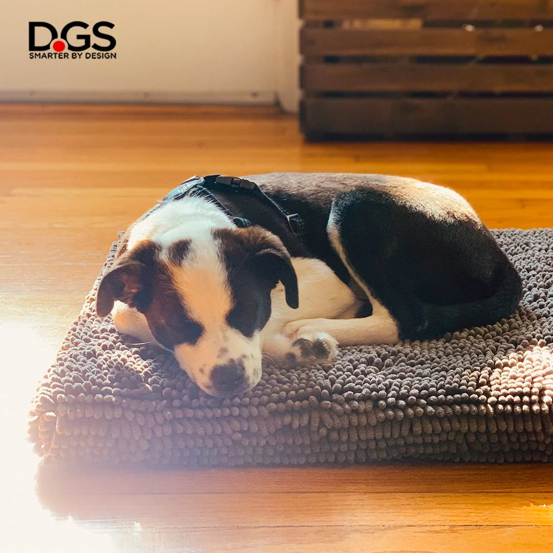 Dog Gone Smart Dirty Dog Cushion Pad, Brown