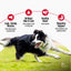 Nulo FreeStyle Limited+ Lamb Recipe, Dry Dog Food