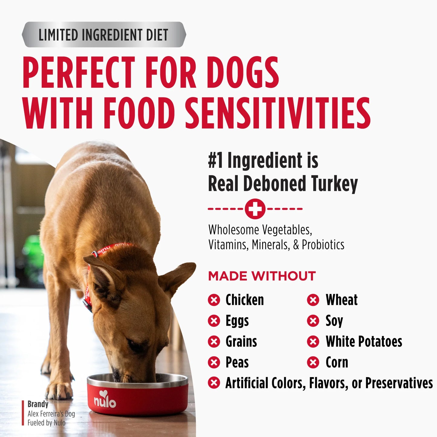 Nulo FreeStyle Limited+ Turkey Recipe, Dry Dog Food