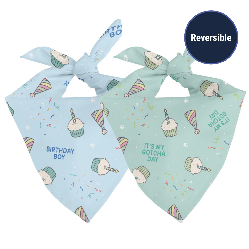 Dog Bandana Co. Birthday Boy & Gotcha Day Dog Bandana Tie & Snap