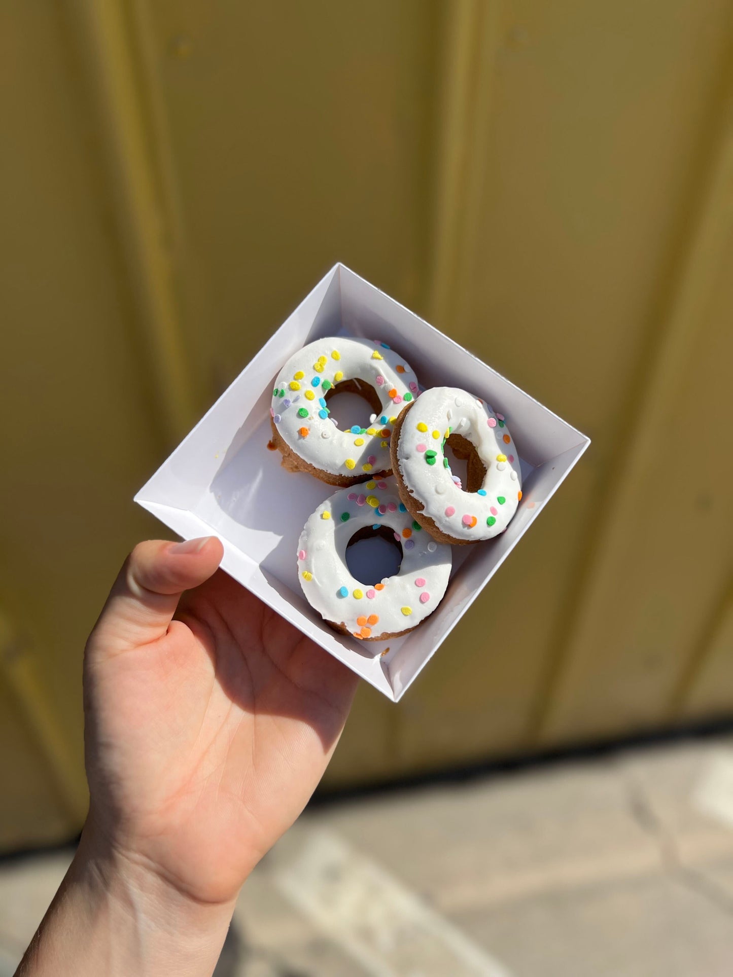 The Pup Gang Bakery, PB Bacon Donuts, Dog Treat