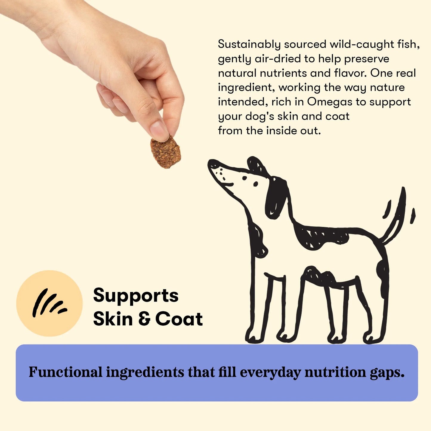 Plato Wellness Chews Skin & Allergy, Dog Treats