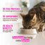 Rawz 10+ Essentials Fish & Dehydrated Fish Recipe, Dry Cat Food