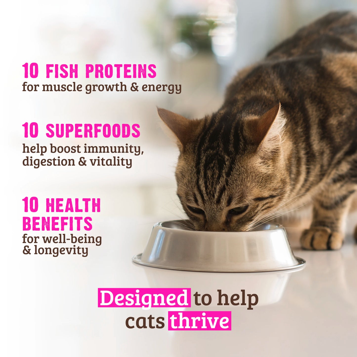 Rawz 10+ Essentials Fish & Dehydrated Fish Recipe, Dry Cat Food