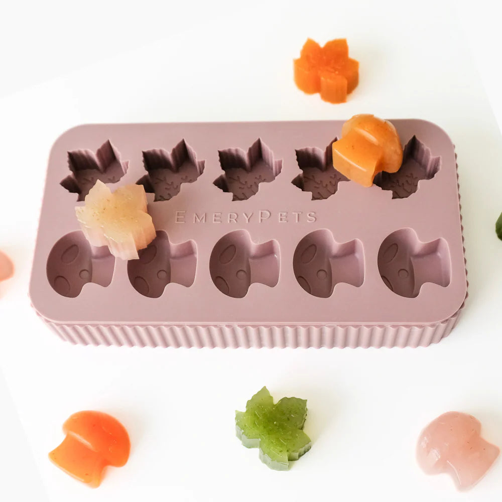 EmeryPets Maple Leaf + Mushroom Treat Mold