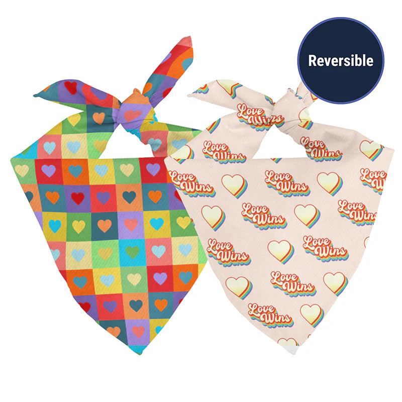 Dog Bandana Co. Love Wins Dog Bandana Tie & Snap