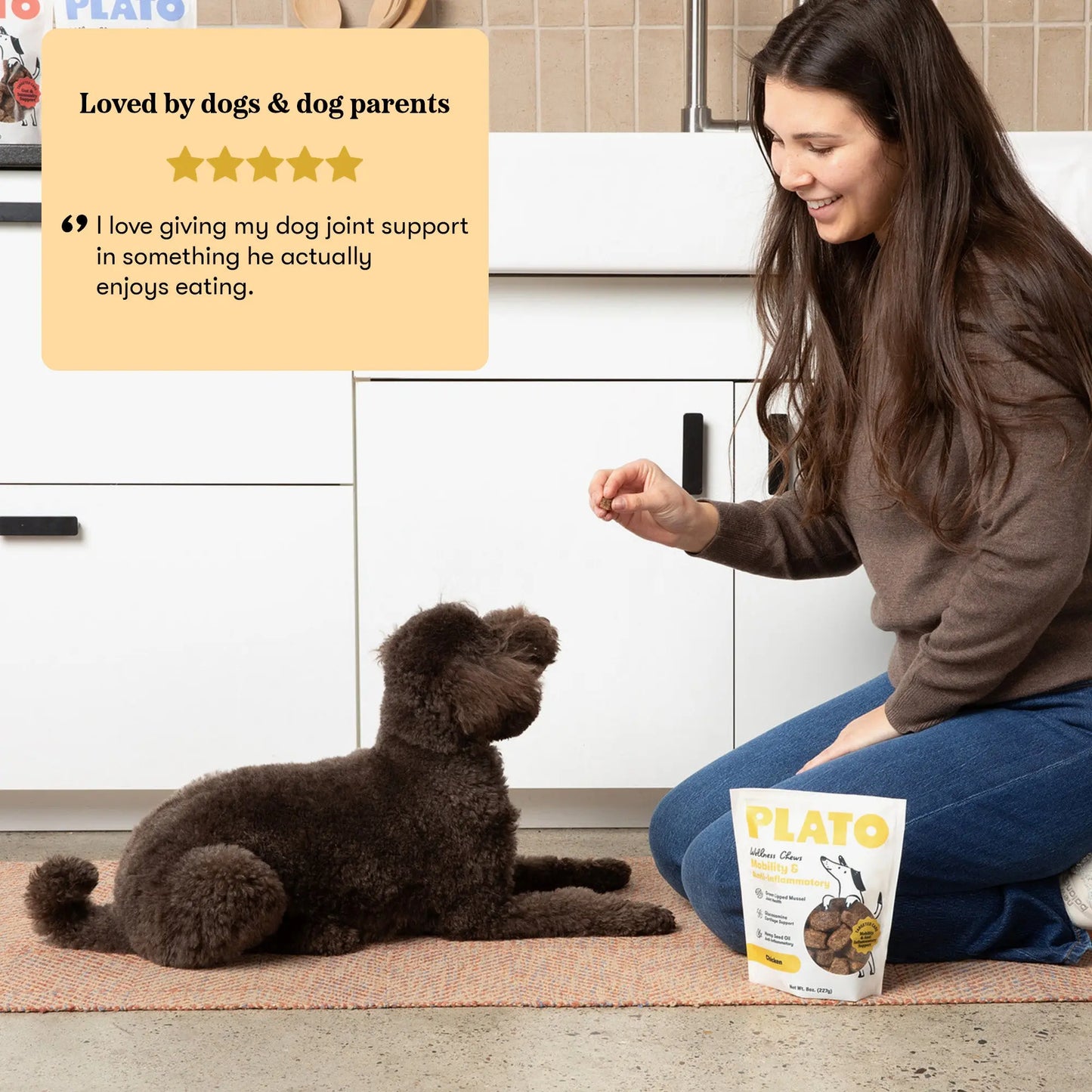 Plato Wellness Chews Mobility & Anti-Inflammatory, Dog Treats