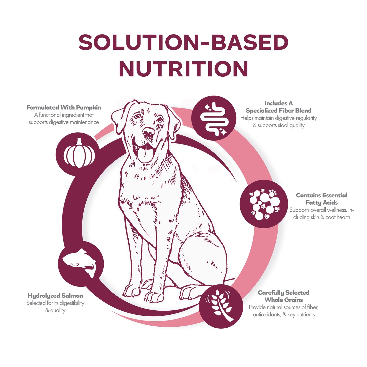 Fromm Nutritionals Sensitive Skin & Stomach Salmon & Whole Oats Recipe, Dry Dog Food