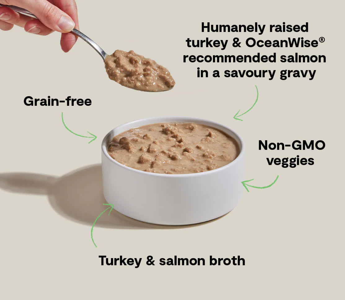 Open Farm Turkey & Salmon Morsels in Gravy for Cats, Wet Cat Food, 5.3-oz, Case Of 12